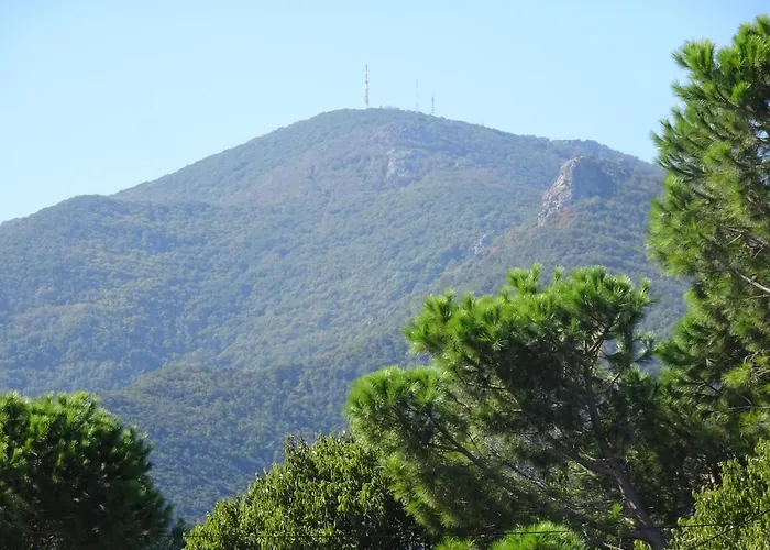 Catalane Avec Grand Jardin, Au Calme, Et Montagne Sorède